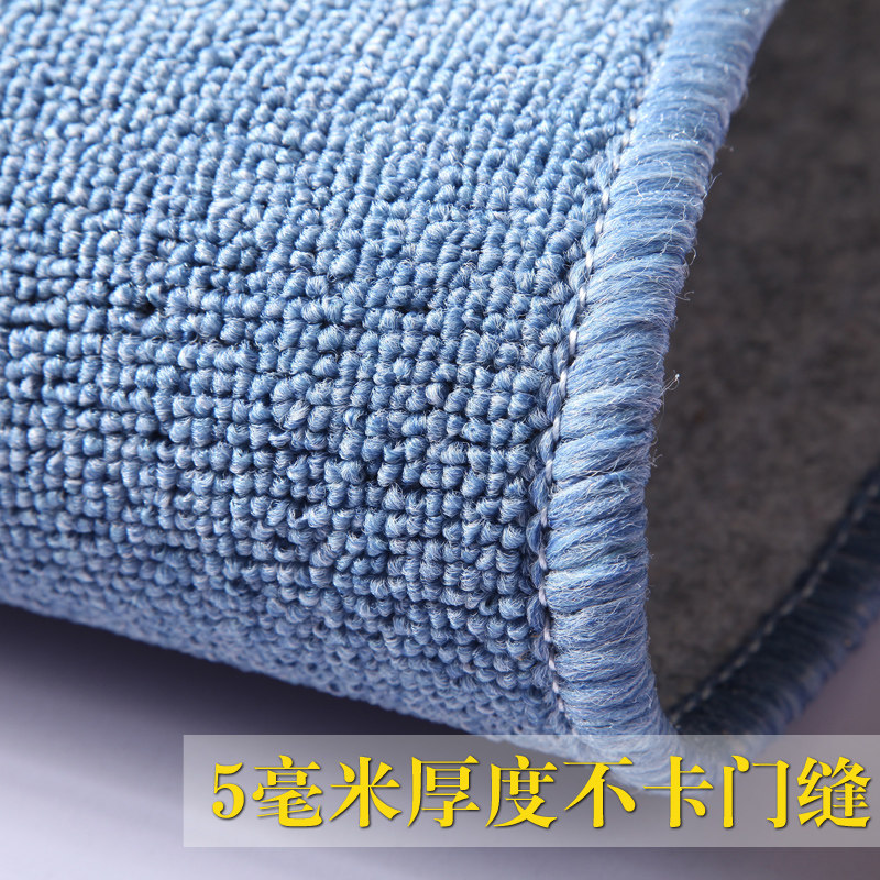 卧室满铺办公室地毯家用房间客厅茶几床边毯入户门垫进门地垫定制