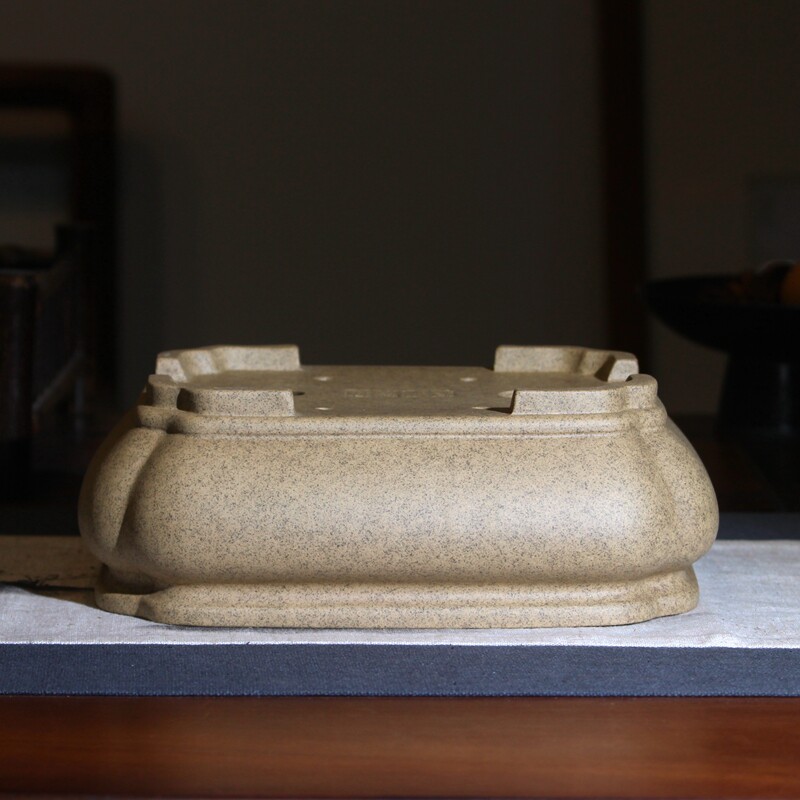 筋纹长方形精品紫砂花盆手工小型盆景多肉菖蒲松柏树唯珍冯长树