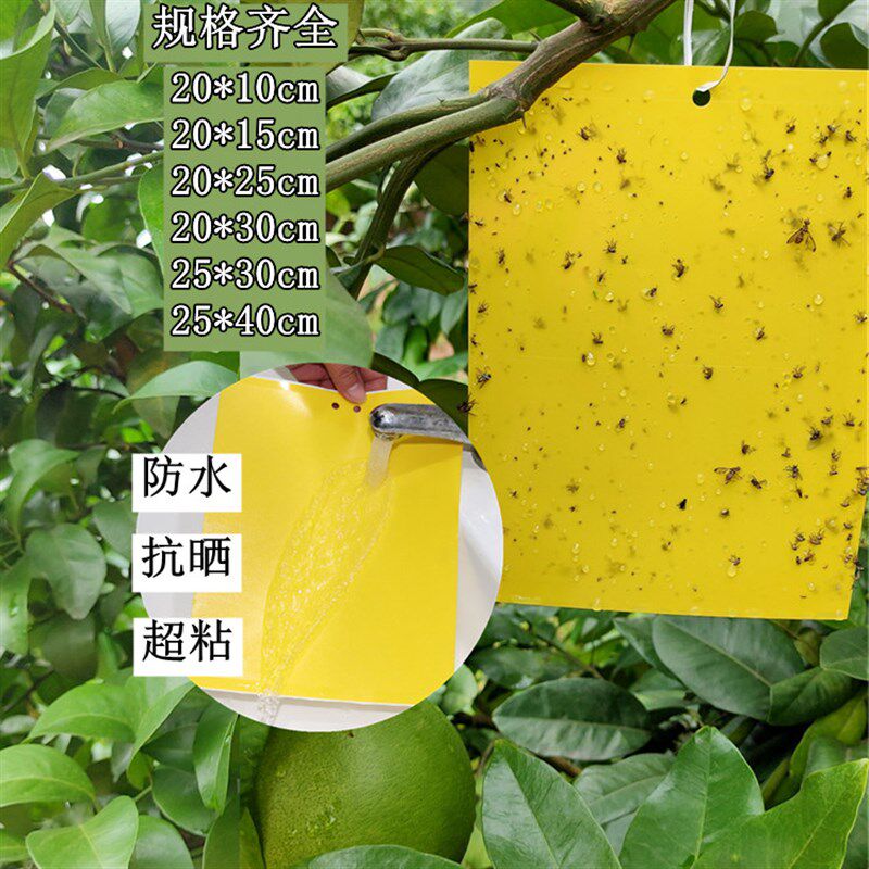 黄板粘虫板虱马贴双面黏虫黄蓝板大棚诱虫粉白板蓟小黑飞茶园果园