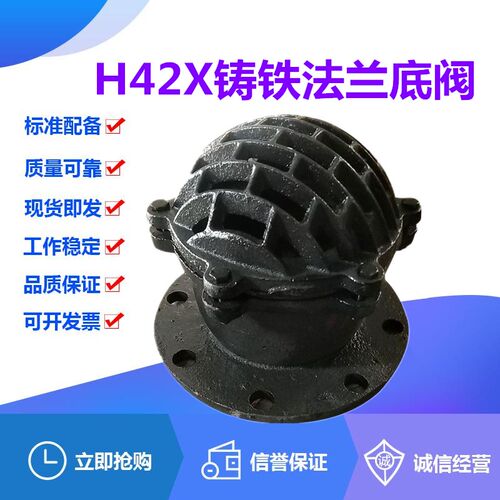 H42X-6/10铸铁法兰底阀DN40-400水泵吸水莲蓬头弹簧升降式止回阀