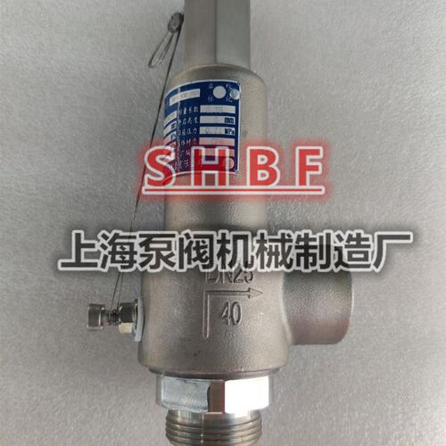 大连兴元深冷安全阀DA22F-40P 天然气专用不锈钢安全阀DN15 25
