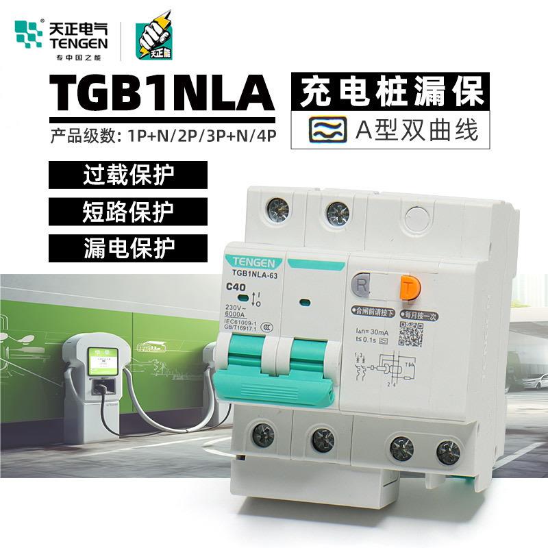 天正电气A型双曲线漏保TGB1NLA1P+N3P+N40A充电桩漏电保护开关