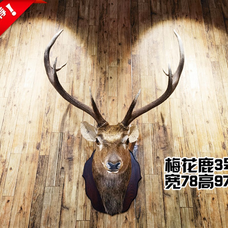 壁挂鹿头梅花鹿真鹿头壁景玄关客厅花炉墙电视墙鹿头挂背鹿小花鹿