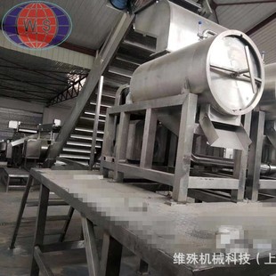 果蔬原浆生产线 哈密瓜马蹄提子柿子山竹沙梨发酵果汁加工设备