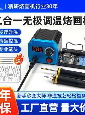 LH55-1-NS2蓬甲调温烙画机葫芦木板烙画工具套装烫画木材燃烧笔