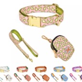 备组合带项圈狗牵引绳 INS风出行装 宠物热卖 夏季