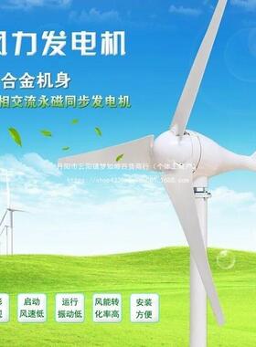 厂家直销小型风力发电机220V100W300W500W家用风光互补路灯12V24V