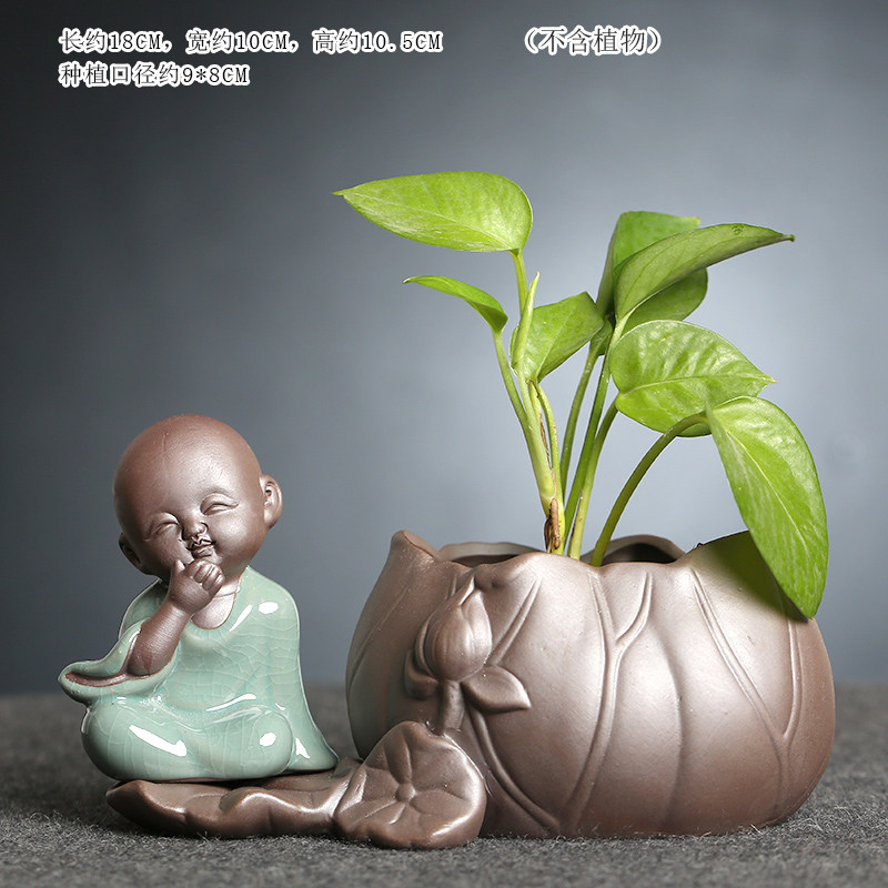 绿萝铜钱草玻璃水培水养紫砂花瓶创意小花瓶水培器皿桌面装饰摆件