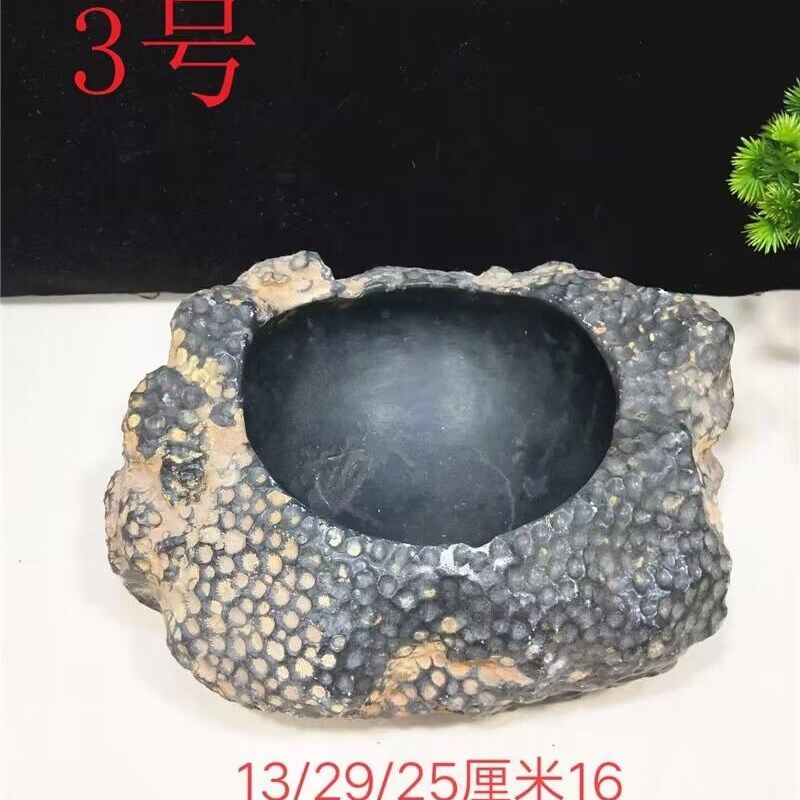 精品天然珊瑚虫化石小鱼缸 烟灰缸 小花盆 聚宝盆 奇石玉石摆件