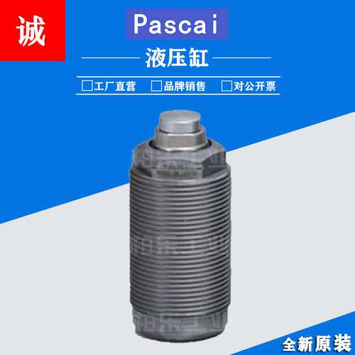 帕斯卡PASCAL油缸 CSS00/CSS01 02 04 05/CSX00 01 02 浮动支撑缸