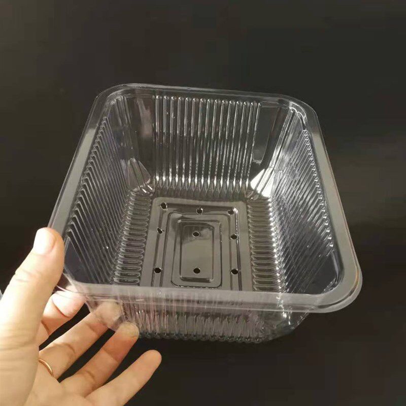 带孔豆苗托盘19*16*8带盖芽菜种植盒漏水孔塑料盒一次性塑料