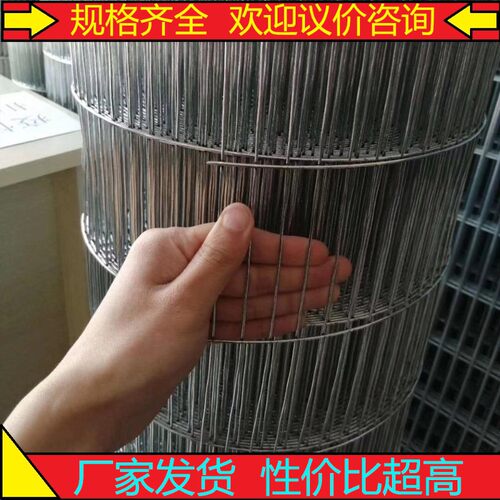 镀锌铁丝网电焊网片网格网丝小长孔养殖鸽笼鸟笼狗笼宠物垫底加粗