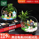 12cm切口瓶苔藓微景观DIY材料套装 办公室内桌面迷你盆景绿植组合