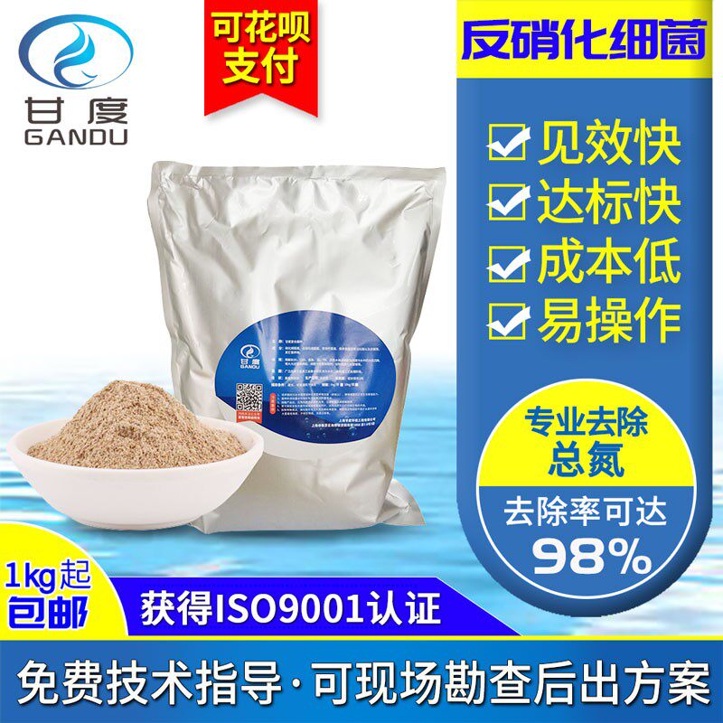 甘度污水处理菌种 反硝化细菌 厌氧菌微生物总氮去除菌剂废水生化