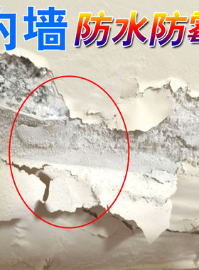墙面反碱处理剂室内防碱防潮返碱除碱剂内墙防水防霉抗碱消碱一号
