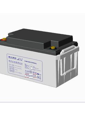 LEOCH理士电池DJM1265阻燃，含连线 现货供应
