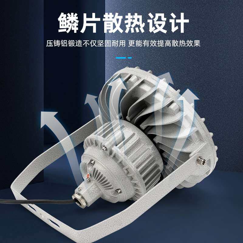 海洋王款BFC8125 LED防爆灯 车间免维护照明隔爆型圆形防爆泛光灯