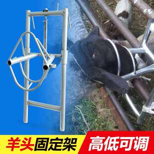 升降羊头固定架剪羊毛架子羊用固定器打针保定架挤羊奶推毛羊笼头