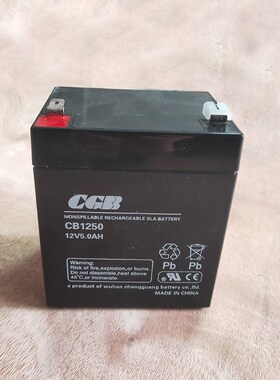 西子奥的斯电梯电动松闸电池CB1250武汉长光12V5AH钢带电梯有机房