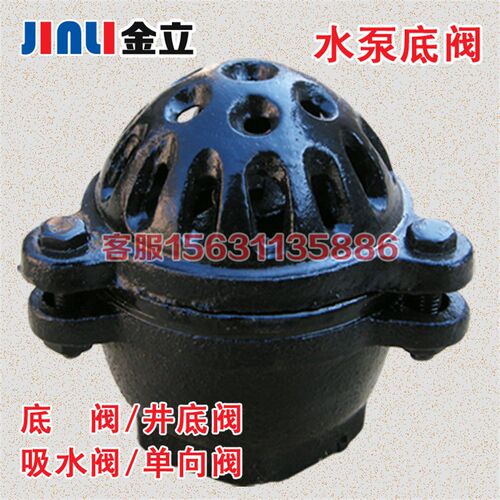水泵底阀止回阀莲蓬头 内螺纹井底阀吸水阀底阀DN40 50 65 80 100