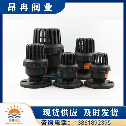 普通吸水底阀 塑料底阀 法兰丝扣底阀DN32 40 50 65 80 100 150
