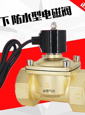 水下喷泉跳泉 3寸防水电磁阀水阀开关阀 DN80 气阀AC220V DC24V