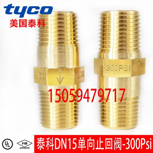 tyco美国泰科DN15单向止回阀 泰科报警阀组配件 300PSi弹簧止回阀