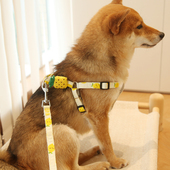 狗狗牵引绳胸背带小型犬狗绳子遛狗绳泰迪比熊法斗柴犬柯基遛猫绳