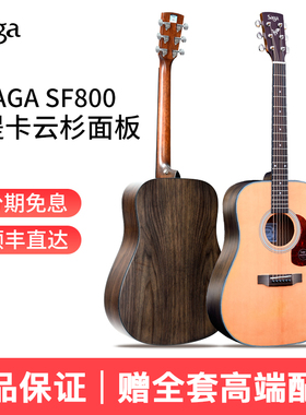 吉他情报局Saga吉他sf800c单板民谣木吉它适合初学者电箱男女生款