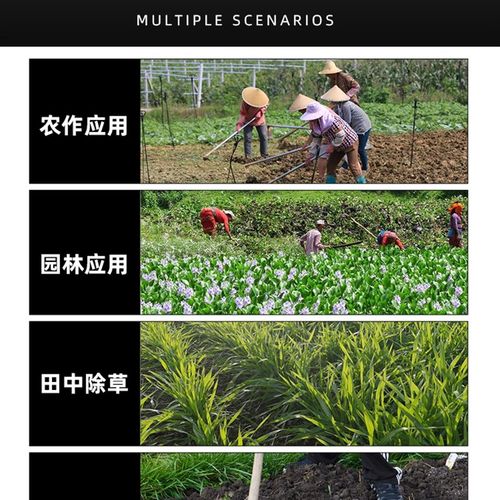 家用锄头老式农具多功能种菜除草神器挖地锰钢小锄头农用工具大全