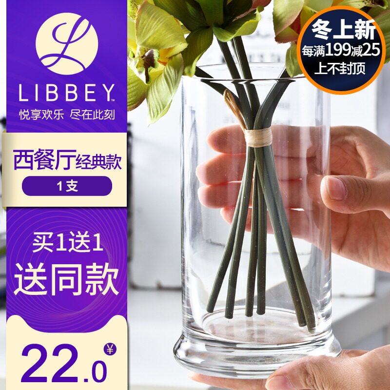 【买1送1】玻璃干花瓶摆件透明插花装饰摆设欧式小绿萝水培容器