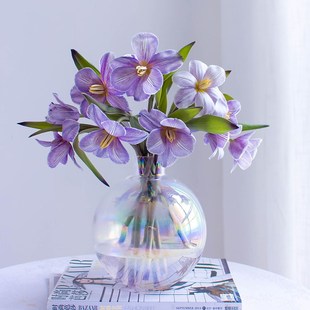 A级进口荷兰郁金香鲜花家用水培插花客厅观赏鲜切花云南基地直发