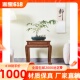鸡翅木家具客厅红木花架实木花几中式 边几家用落地花架仿古弯脚几