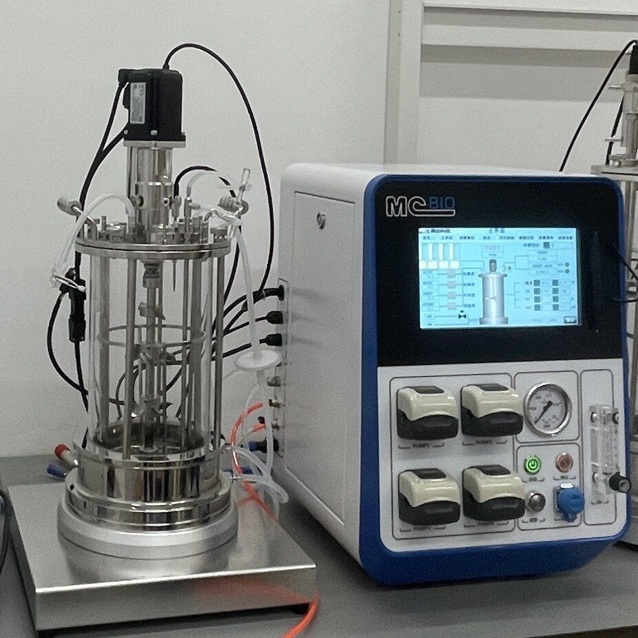 定制玻璃生物反应器 实验室发酵罐 台式玻璃发酵设备 匹配反应器