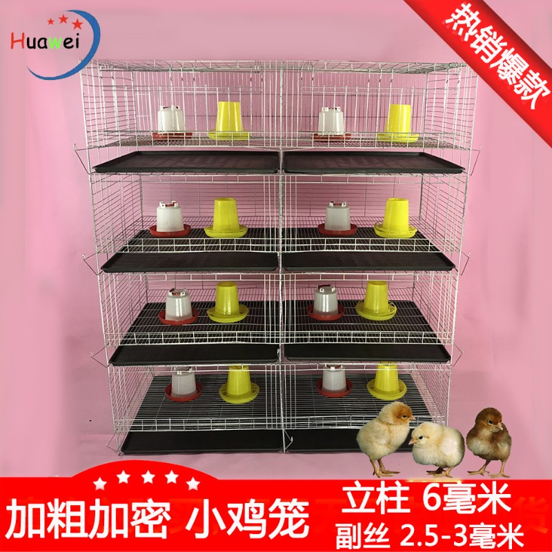 直销加粗加密小鸡笼子养殖育雏笼立体式四层脱温鸡苗肉鸡笼厂设备