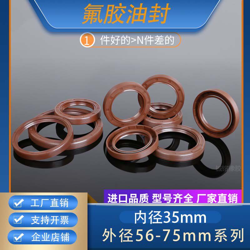 GB/T13871唇形密封圈FBTC型旋转氟胶骨架油封内径35mm外径56-75mm