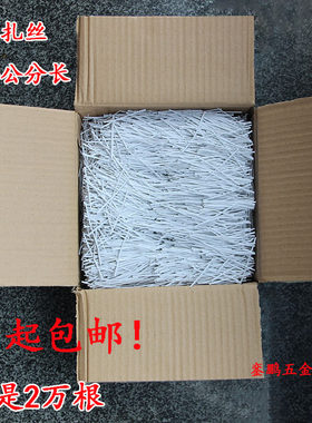 白扁扎丝扎带电线绑绳扎线铁芯捆带扎丝包塑镀锌铁丝包胶绑线6cm