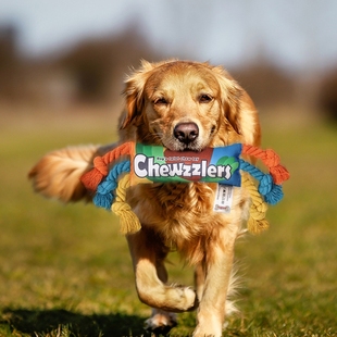 狗狗玩具磨牙棒耐咬咬绳结球互动拔河解闷泰迪金毛宠物发声玩具球