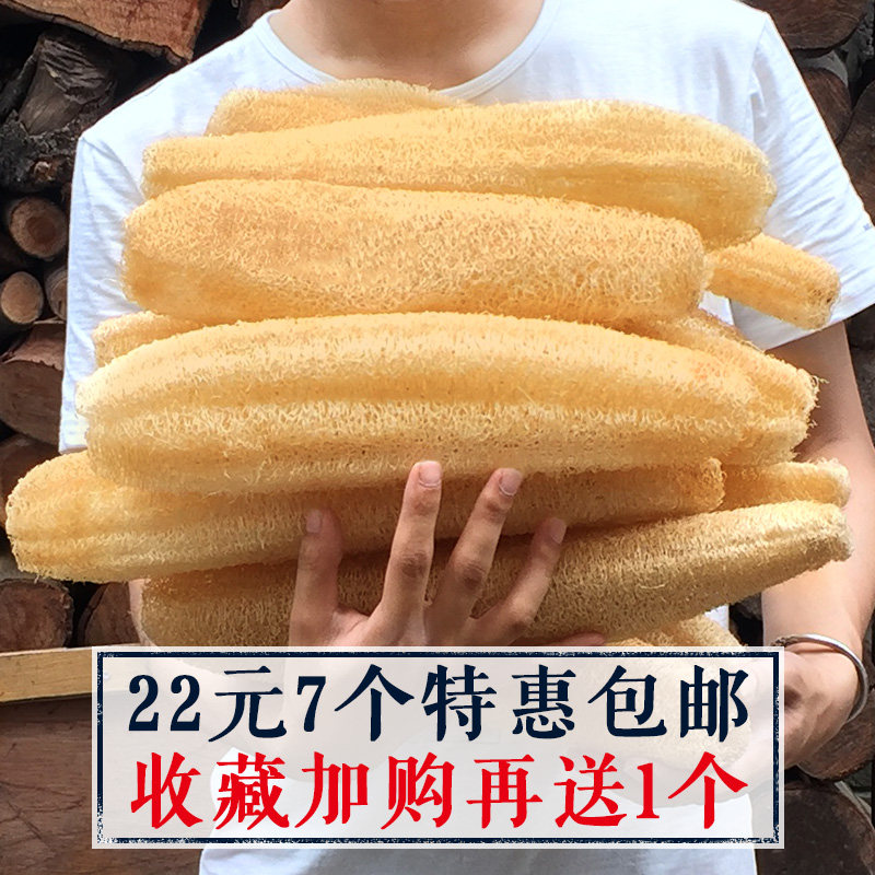 山区天然丝瓜络洗碗刷锅搓背洗澡下奶农家老干丝瓜瓤水瓜囊筋布皮