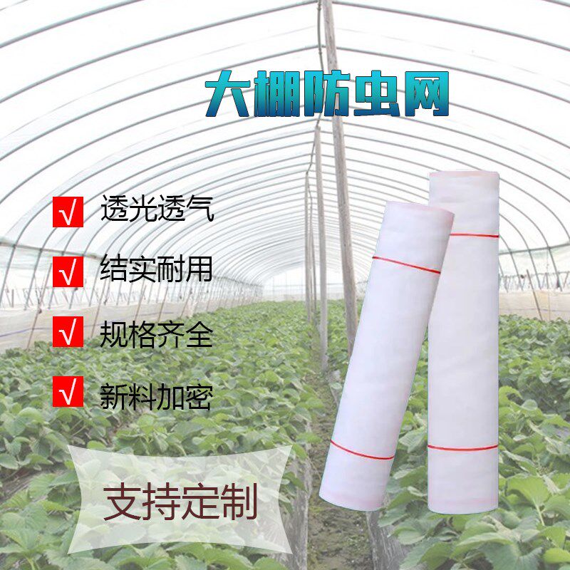 温室大棚加厚防虫网家用庭院防蚊防虫放鸟放风口防尘纱尼龙纱窗网