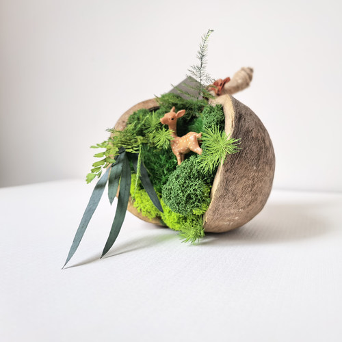 苔上手作永生苔藓微景观小鹿摆件
