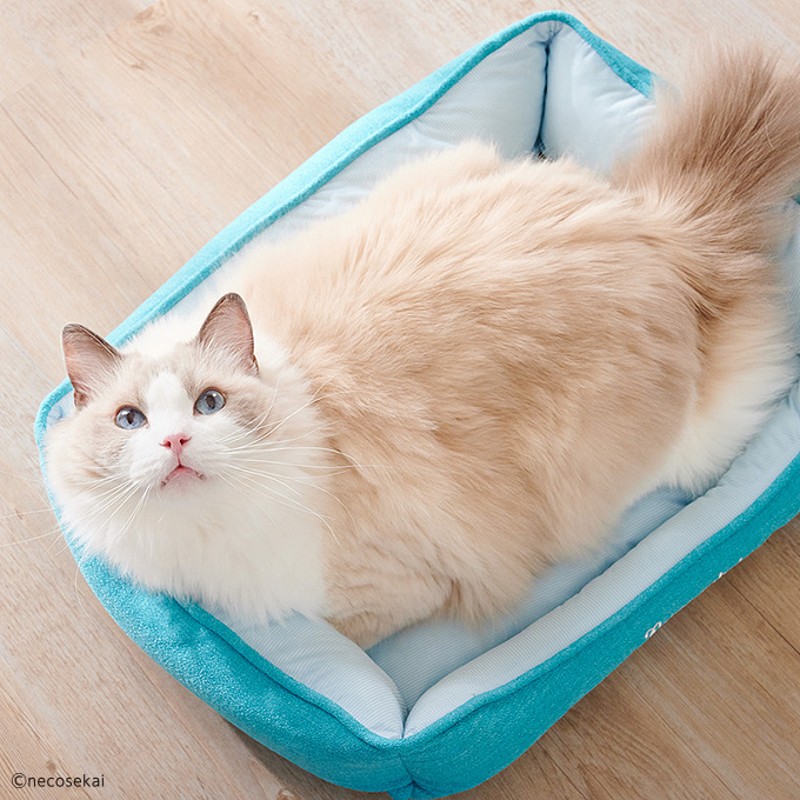 猫咪世界 夏季冷感清凉猫窝猫床猫垫子凉爽猫窝宠物用品四季通用