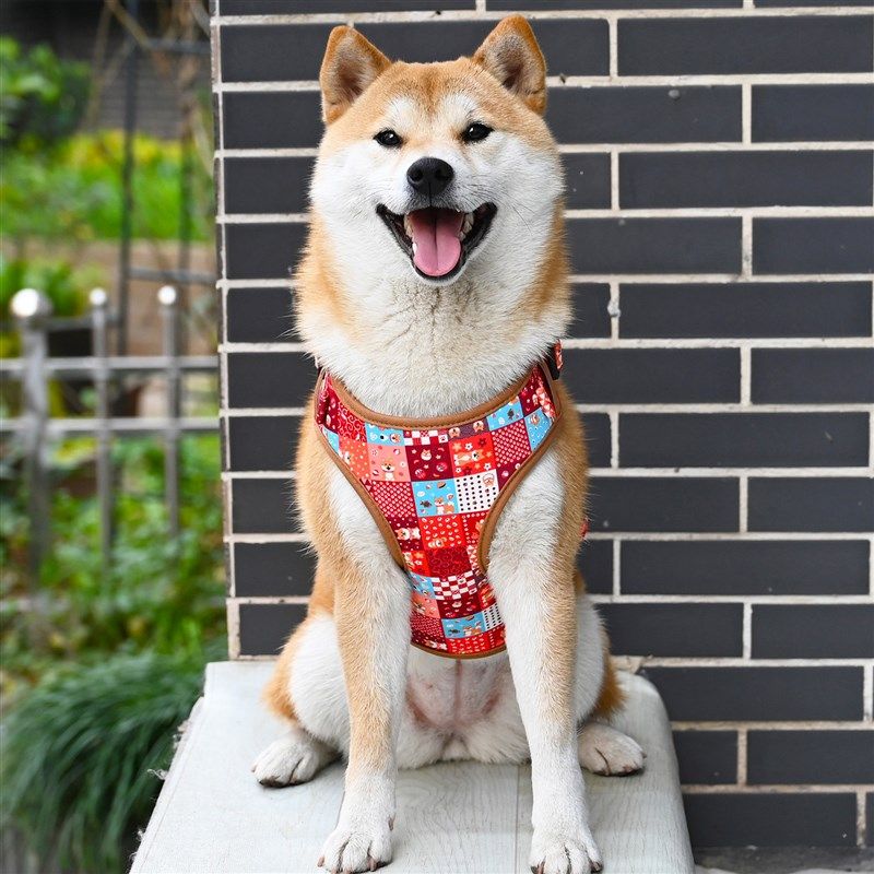 芮柴 柴犬胸背柯基泰迪牵引绳胸背带宠物狗狗背心式防爆冲遛狗绳