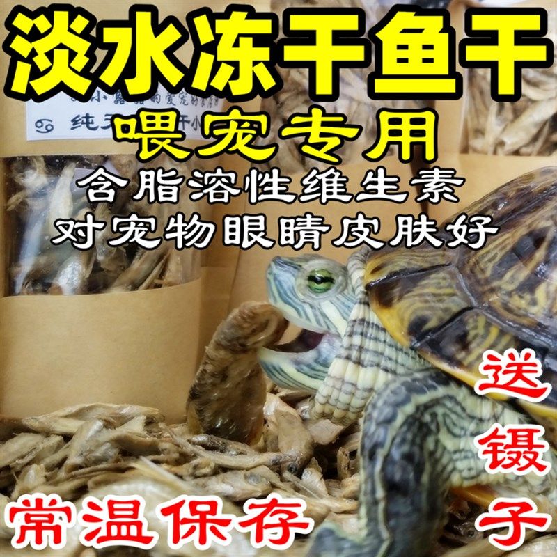 淡水小鱼干龟粮乌龟粮冻干鱼无盐巴西龟鳄龟草龟蛋龟仓鼠粮宠物粮,宠物/宠物食品及用品,观赏龟/鳖饲料,淘宝优惠券,粉丝福利购,淘宝优惠卷