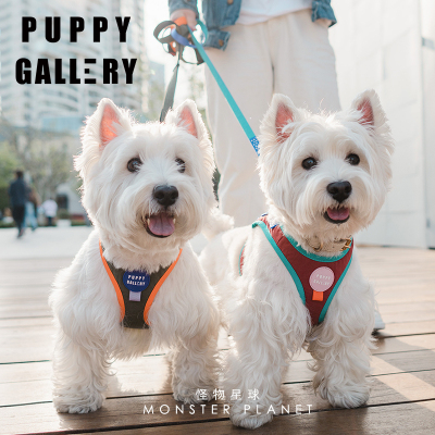 韩国PuppyGallery撞色胸背狗狗牵引背心式遛狗牵引绳项圈宠物背带