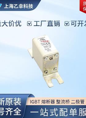 巴斯曼熔断器 170M2005 170M2006 170M2007 170M2008 170M2009