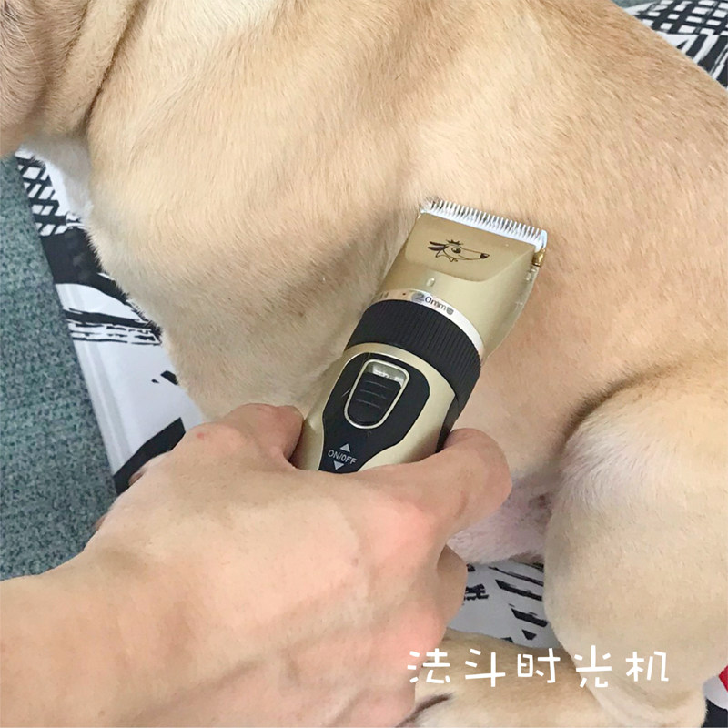 宠子电推剪剃毛器狗毛剪毛器剃脚毛机电动电推物推毛器修毛理发