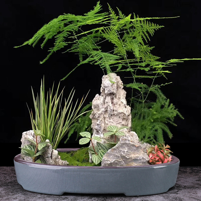 复古长方形紫砂盆开片多肉花盆肉肉老桩拇指盆绿植苔藓造景透气小