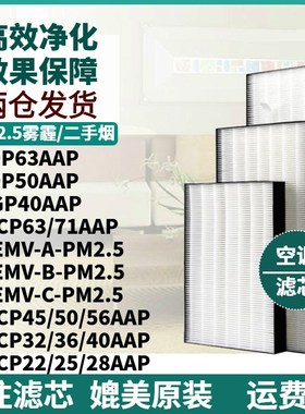 适配大金中央空调过滤网CN-EMV-A/B/C-PM2.5滤芯空调进出风口除尘