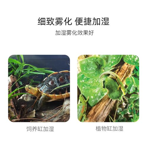 爬宠电动喷壶黄缘乌龟饲养箱加湿喷雾器睫角陆龟蜥蜴爬虫保湿喷瓶